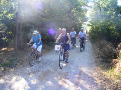 Pohod, kolesarenje, rolanje 2013