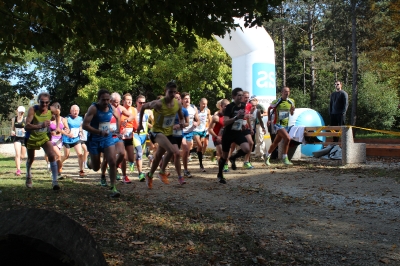 Beltinski tek 2014