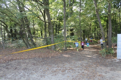 Beltinski tek 2014