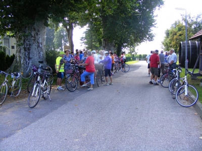 Pohod, rolanje in kolesarjenje 2011